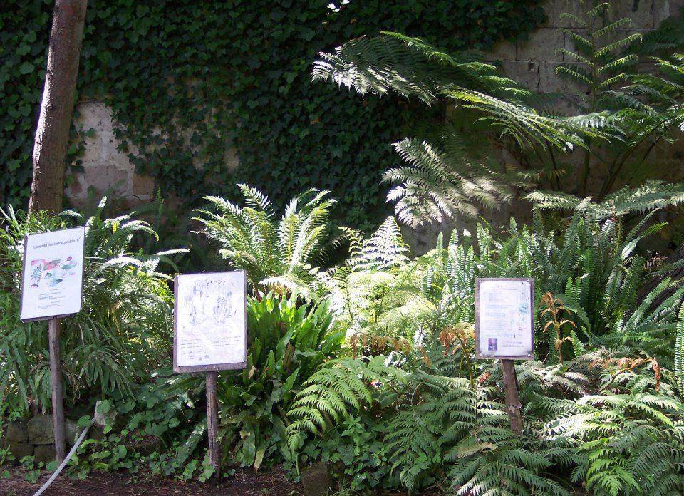 giardino12