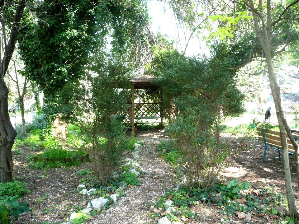 giardino14