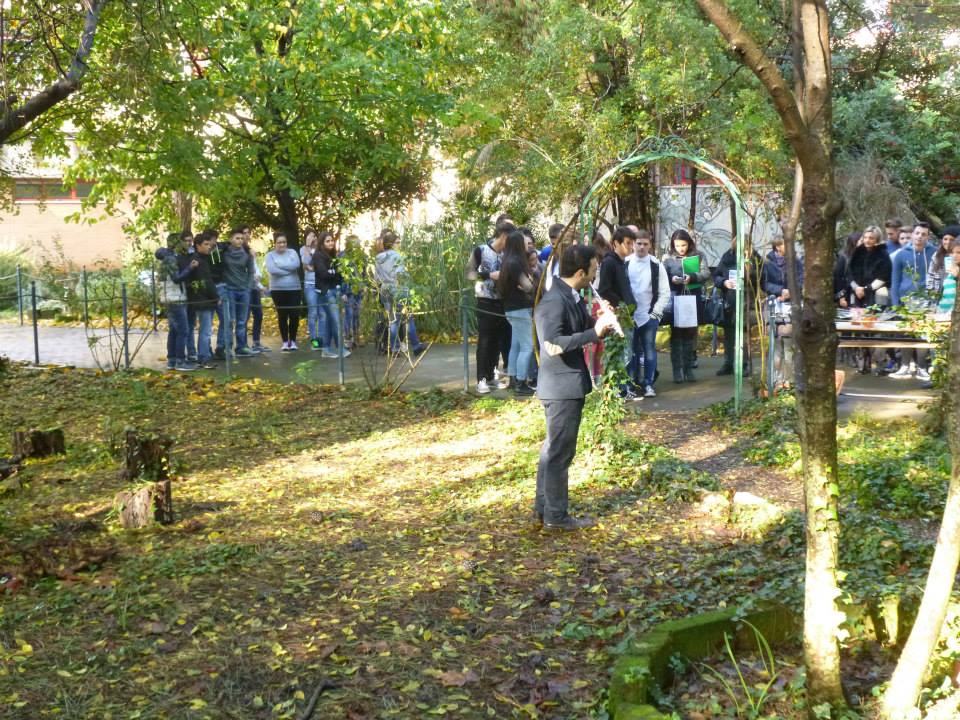 giardino15
