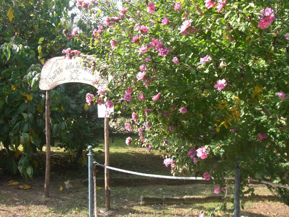 giardino2