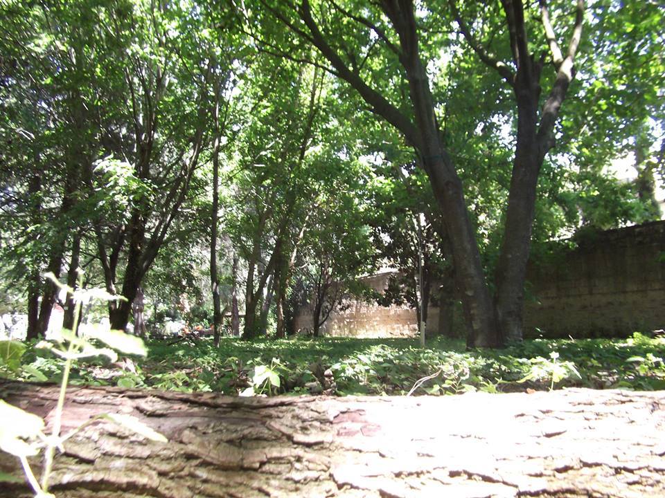 giardino3