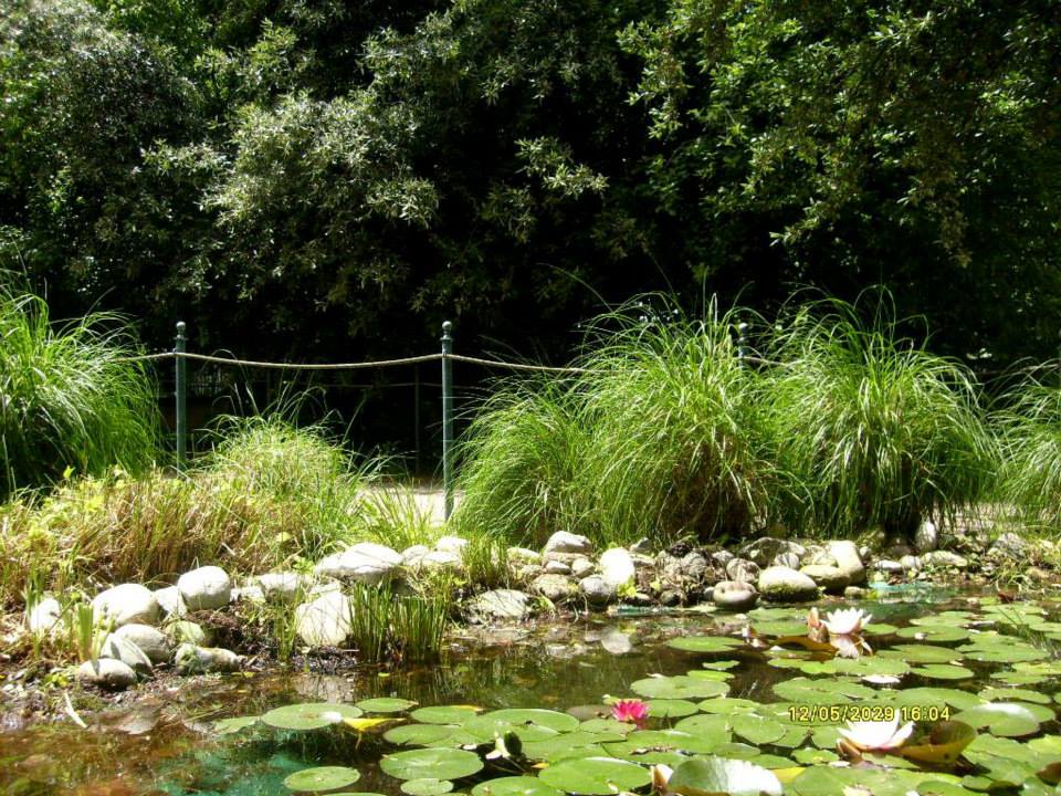 giardino4