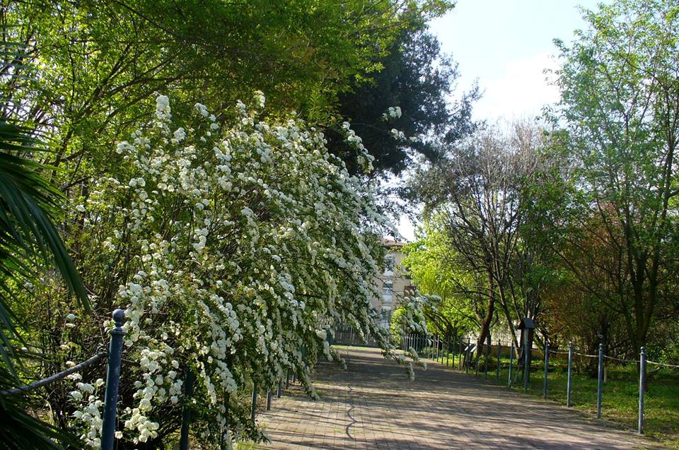 giardino1